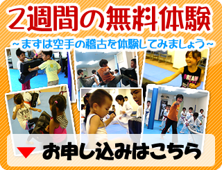 2週間の無料体験